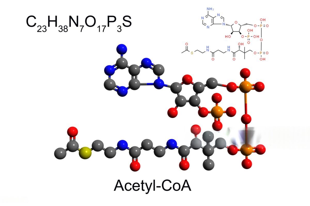 AOD-9604 Peptide Benefits
